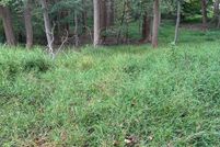 Undeveloped Land for sale in Howard County, Maryland