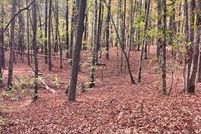 Undeveloped Land for sale in Paulding County, Georgia
