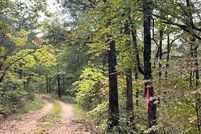 Property for sale in Newton County, Arkansas