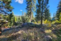 Undeveloped Land for sale in Alpine County, California