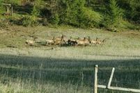 Property for sale in Stevens County, Washington