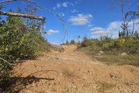 Undeveloped Land for sale in Lamar County, Alabama