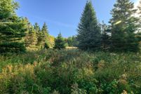 Property for sale in Chippewa County, Michigan