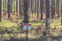 Property for sale in Sabine Parish, Louisiana