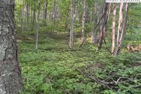 Property for sale in Ashe County, North Carolina