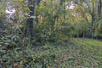 Property for sale in Buncombe County, North Carolina