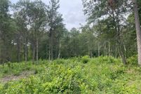 Undeveloped Land for sale in Crow Wing County, Minnesota