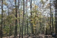 Undeveloped Land for sale in Jackson County, North Carolina