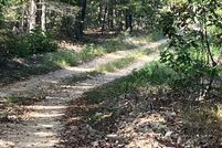 Undeveloped Land for sale in Madison County, Missouri