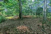 Undeveloped Land for sale in Dickenson County, Virginia