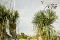 Property for sale in Hudspeth County, Texas