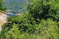 Property for sale in Taney County, Missouri