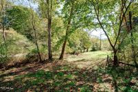 Undeveloped Land for sale in Scott County, Virginia