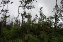 Property for sale in Hawaii County, Hawaii