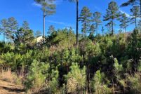 Undeveloped Land for sale in Union County, Georgia