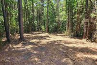 Undeveloped Land for sale in Morris County, Texas