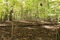 Undeveloped Land for sale in Clay County, North Carolina
