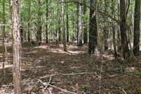 Property for sale in Van Buren County, Tennessee
