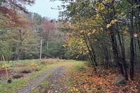 Undeveloped Land for sale in Sullivan County, New York