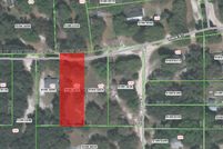 Undeveloped Land for sale in Putnam County, Florida