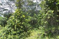 Property for sale in Hawaii County, Hawaii