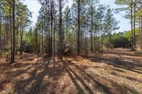 Undeveloped Land for sale in San Augustine County, Texas
