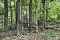 Undeveloped Land for sale in Fayette County, West Virginia