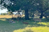 Property for sale in Bell County, Texas