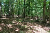 Property for sale in Morgan County, West Virginia