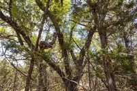 Property for sale in Hays County, Texas