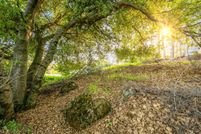 Property for sale in Nevada County, California