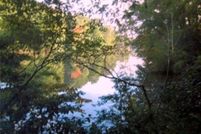 Property for sale in Mathews County, Virginia