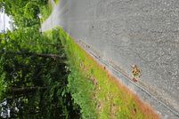 Property for sale in Sullivan County, New Hampshire