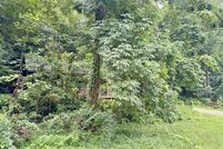 Undeveloped Land for sale in Rutherford County, North Carolina