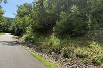 Undeveloped Land for sale in Rutherford County, North Carolina