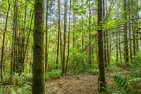 Property for sale in Thurston County, Washington