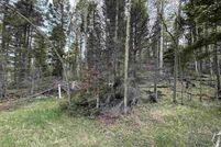 Undeveloped Land for sale in Colfax County, New Mexico