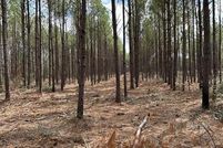 Ranch Property for sale in Angelina County, Texas