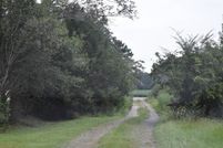 Undeveloped Land for sale in Williamsburg County, South Carolina