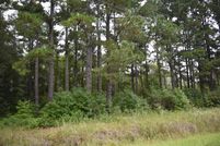 Undeveloped Land for sale in Williamsburg County, South Carolina