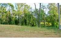 Undeveloped Land for sale in Forsyth County, North Carolina