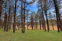 Undeveloped Land for sale in Colfax County, New Mexico