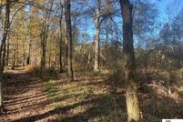 Undeveloped Land for sale in West Carroll Parish, Louisiana