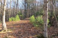 Undeveloped Land for sale in Hardy County, West Virginia