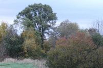 Property for sale in Kane County, Illinois