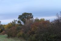 Property for sale in Kane County, Illinois