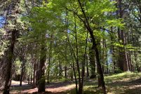 Property for sale in Nevada County, California