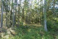 Property for sale in Levy County, Florida