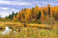 Property for sale in Saint Louis County, Minnesota