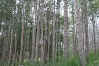 Property for sale in Washington County, Wisconsin